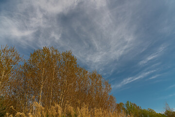 Landscapes of Molise. Glimpses of spring