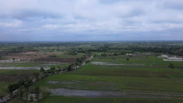 Rice field in the country side. This year the cultivation season has come quickly.
