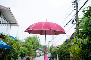 A person with an umbrella in the rain. Rain