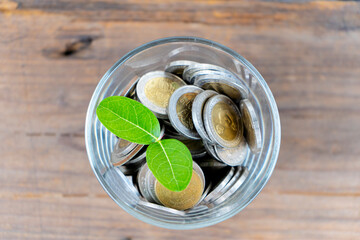 Conceptual Business investment growth concept. Top view