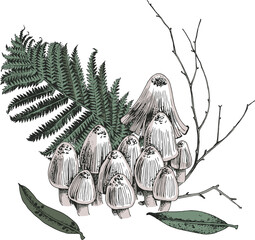 Hallucinogenic mushrooms isolated on background