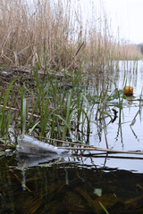 Plastic bottles and bags by the river. Planet pollution concept. Selective focus. Vertical orientation.