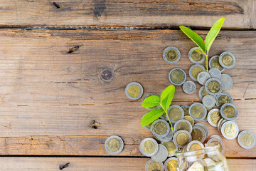 money saving and investing for business investment finance and banking concept.