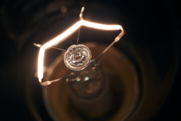 Electric lamp. Incandescent light bulb.