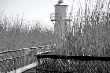 The lighthouse at Newport Wetlands Nature Reserve, reclaimed industrial land established in 2000 to...