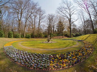 Feuerwehrgräber auf dem Ohlsdorfer Friedhof. Blumenbeete mit Stiefmütterchen (Viola wittrockiana)