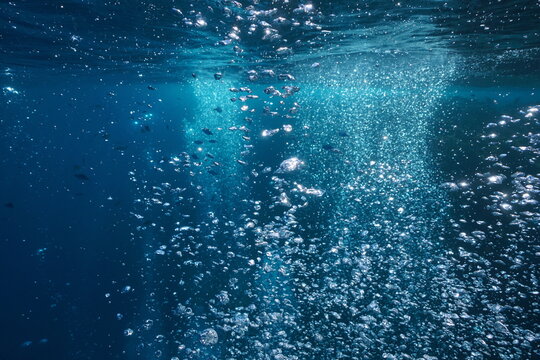 Air bubbles underwater in the ocean rising to surface, natural scene