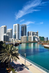 Obraz na płótnie Canvas high-rise buildings stand on the horizon, modern Dubai