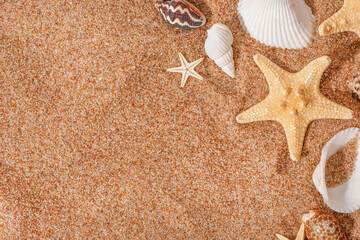 Summer sandy beach background. Seashells and starfishes top view on the sand with copy space.