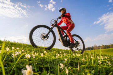 Naklejka premium pretty mid age woman riding her electric mountain bike in early springtime in the Allgau mountains near Oberstaufen, in warm evening light with blooming spring flowers in the Foreground