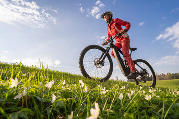 Obraz premium pretty mid age woman riding her electric mountain bike in early springtime in the Allgau mountains near Oberstaufen, in warm evening light with blooming spring flowers in the Foreground