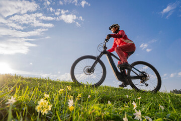 Naklejka na ściany i meble pretty mid age woman riding her electric mountain bike in early springtime in the Allgau mountains near Oberstaufen, in warm evening light with blooming spring flowers in the Foreground