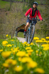 Fototapeta premium action, active, activity, adventure, allgaeu, allgau, allgäu, alps, background, bavaria, bicycle, biker, biking, cycle, cyclist, e bike, e mountain bike, e-bike, ebike, electric bike, electric bikes, 