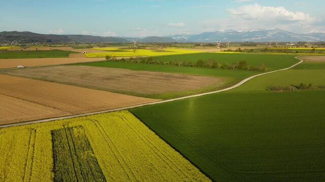 Vol sur la plaine et le colza