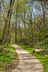 Trails through the woodland.