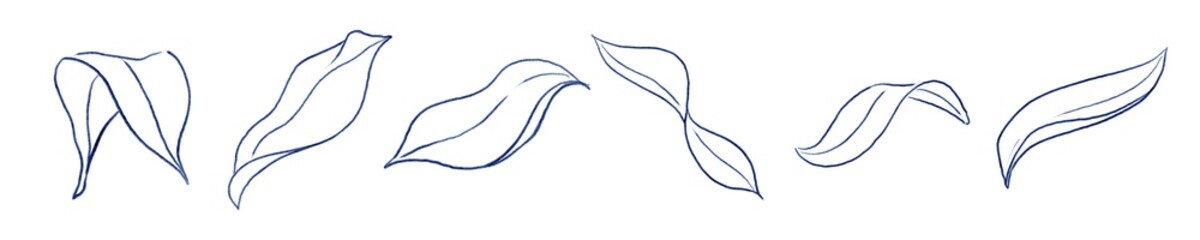 Obraz premium Outline illustrations coloring pages, several pieces on a white background isolated elements