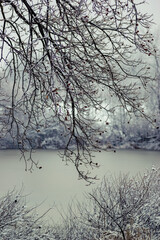 Gray snowy day by the pond