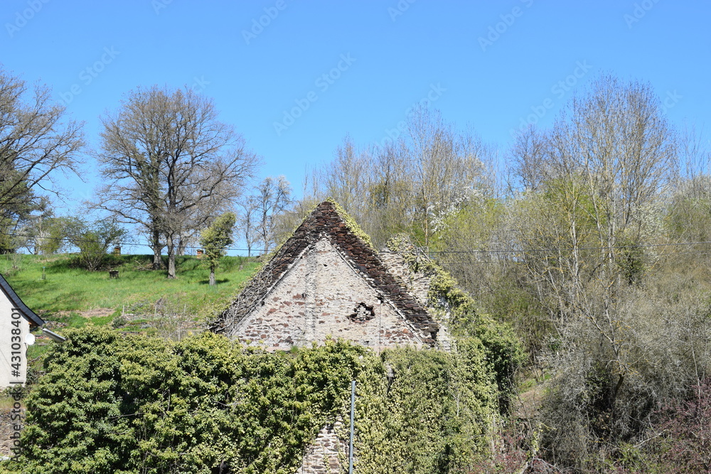 Wall mural Mit Efeu überwachsene Ruine einer alten Mühle