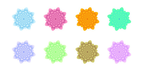 set of flower vector illustration design  on white background for your design