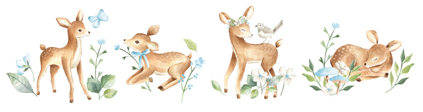 Watercolor Baby Deers Forest Woodland Animals With Blue Flowers Illustration
