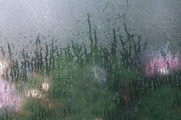 Water droplets adhere to the glass as the air inside the room is colder than the outside, causing water droplets to settle on the glass surface of the window pane.