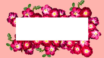 Fototapeta na wymiar isolated flower card decoration on solid background