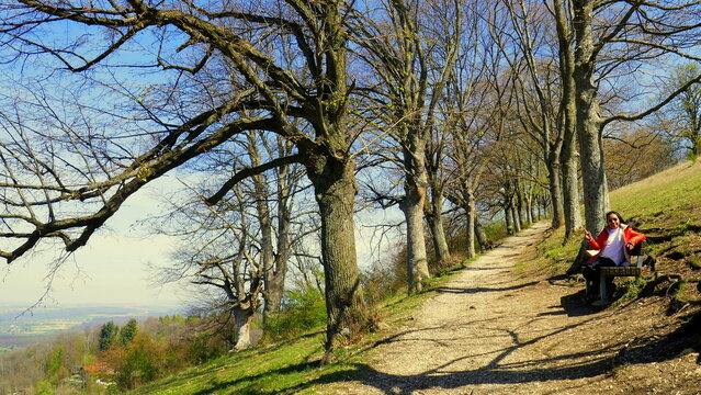 junge Frau rastet freudig auf sch&ouml;nem Wanderweg am Berg Achalm entlang alter Baumallee im Fr&uuml;hling