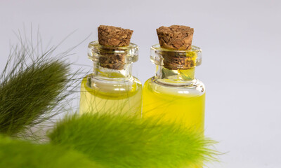 Two mini glass bottles with corks and yellow essential oils and green fluffy herbs; health and spa concept; close up