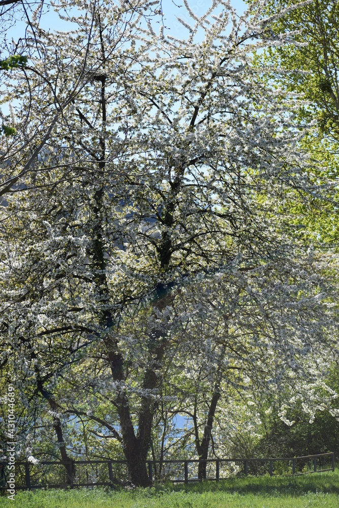 Sticker frühling an der schleuse müden an der mosel