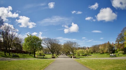 Fototapeta premium Public Park In Spring