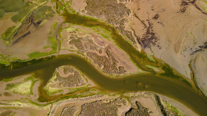 Aerial view of salt marshes with formations