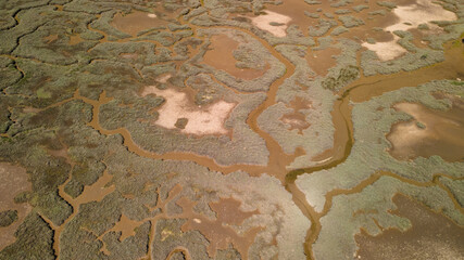 Aerial view of salt marshes with formations