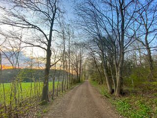 Bavarian running track through the forest to get a free mind from life