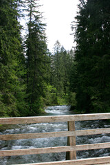 g&oacute;rski krajobraz, las