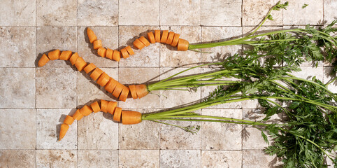 Bunch of fresh carrot roots with green leaves on stone tales of earth tones top view. Healthy eating and dieting food concept.