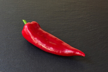chilischote rot