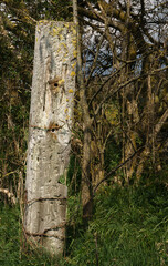 old wooden fence post with rusting metal barbed wire
