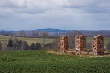 green cereal field with rapeseed where in the distance you can see the ruins of an old stone...
