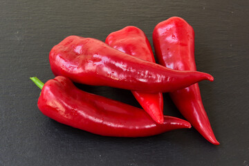 chilischote rot