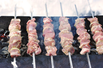shish kebabs on the grill with hot coals