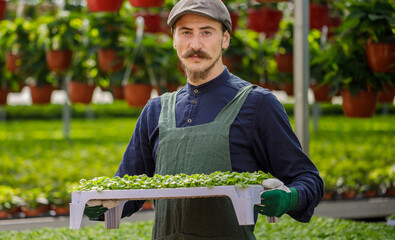 Cropped portrait of male gardener in the sunny greenhouse