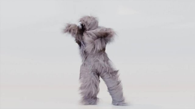 Hairy Monster Dancing Gangnam Style against white background. fur bright funny fluffy character, fur, full hair, Chewbacca, snowman, 3d render. Sneaking out.