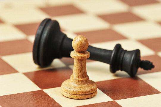 wooden chess pieces on a chessboard