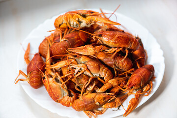 Cancer. Plate of boiled red crayfish on a light plate background. Selective focus. Delicious food concept