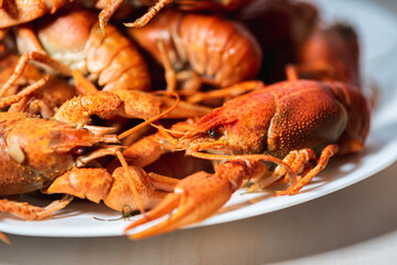 Cancer. Plate of boiled red crayfish on a light plate background. Selective focus. Delicious food concept