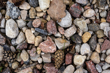 close-up of colored stones where some cones can be seen