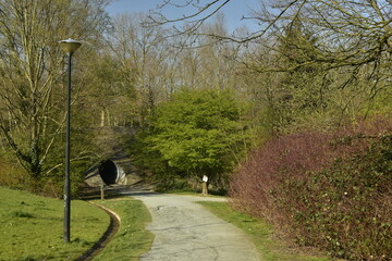 Chemin de promenade sous la nature luxuriante vert le tunnel cylindrique passant sous la rue...