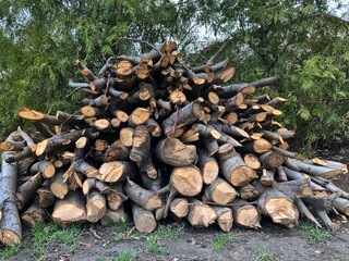 stack of logs, logs for home heating and barbecue