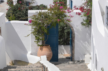 Patios y puerta con flores en las casas de la isla de Santorini en Grecia - obrazy, fototapety, plakaty