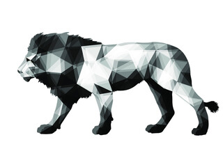 Obraz premium lion, isolated monochrome image on a white background in the low poly style